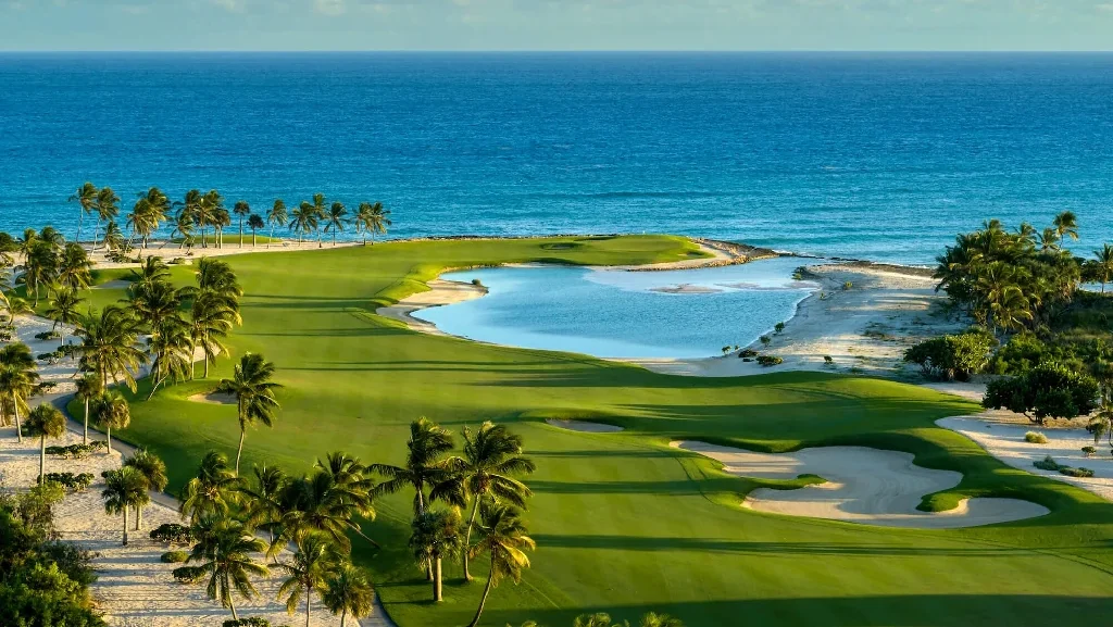 punta-header-resize